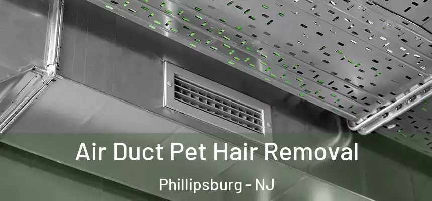 Air Duct Pet Hair Removal Phillipsburg - NJ