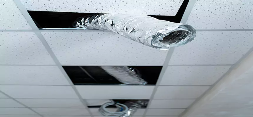 Our Air Duct Pet Hair Removal Services in Phillipsburg, NJ