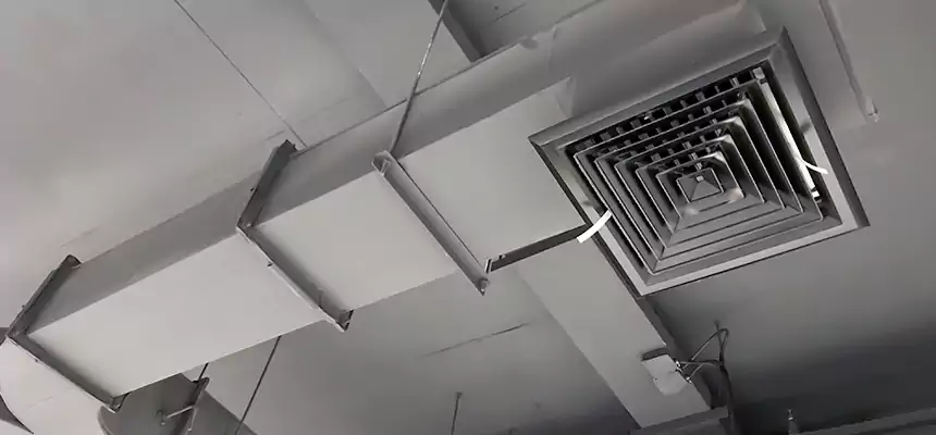 Restorative Allergy Relief Vent Cleaning – Coil, Blower & Housing Detail in Phillipsburg