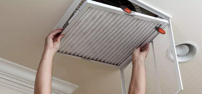 Our Insect Removal from Air Ducts Services in Phillipsburg, NJ
