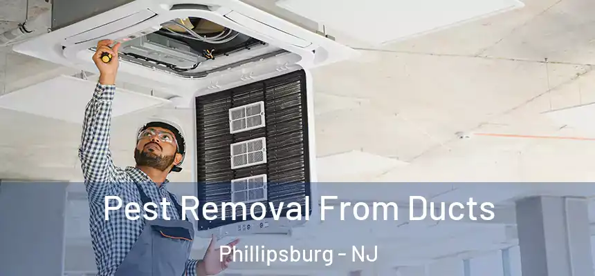  Pest Removal From Ducts Phillipsburg - NJ