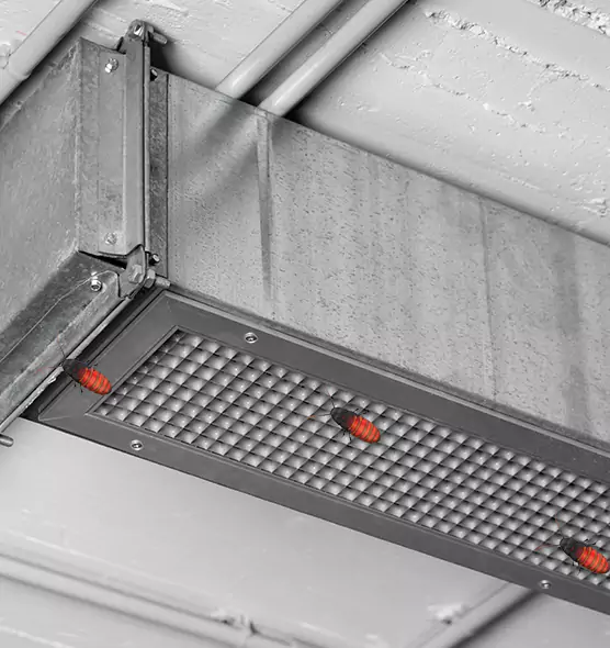 Affordable Insect Removal from Air Ducts in Phillipsburg, NJ